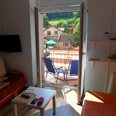 קריניצה זדרוי Apartament Kraszewskiego מראה חיצוני תמונה